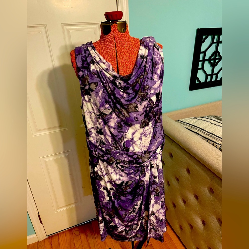 Beautiful Suzi Chin Dress